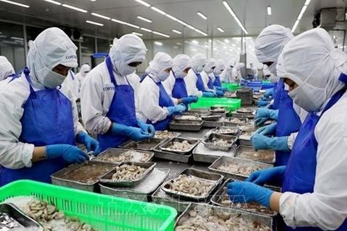 Thủy sản và thị trường trong nước