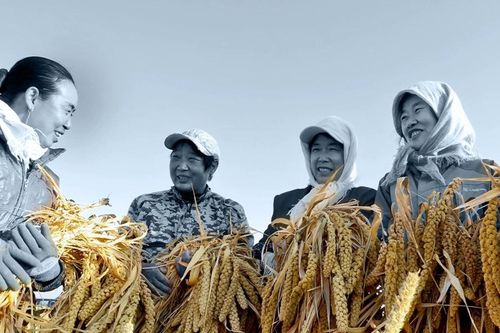 An ninh lương thực là an ninh quốc gia