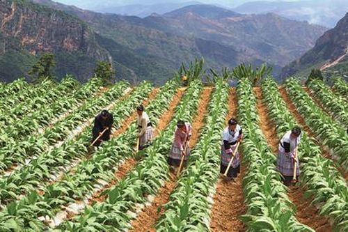 Tăng cường và đa dạng hóa nguồn dự trữ