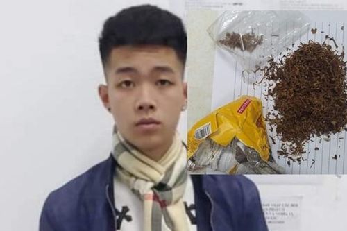Sinh viên cao đẳng bán ma túy 'cỏ' cho các bạn trong trường