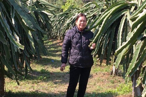 Gương sáng trong cộng đồng dân cư