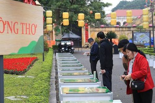 Lan tỏa vẻ đẹp thơ ca trên đất 'rồng bay'