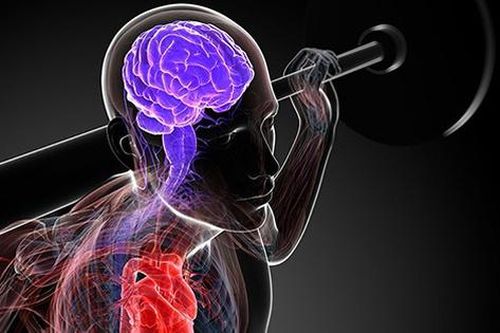 Các bài tập thể chất giúp tăng cường trí nhớ