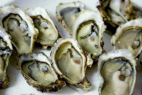Nhập viện vì ăn 10 con hàu mỗi ngày để cải thiện sinh lý