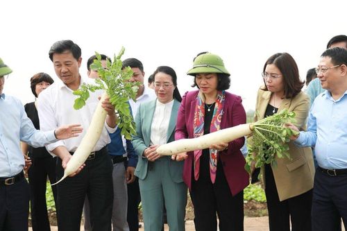 Lãnh đạo Thành phố Hà Nội thăm, động viên người dân ra quân sản xuất