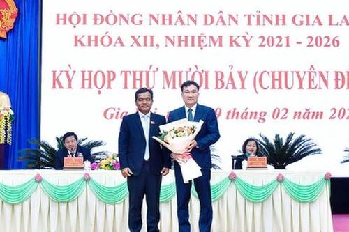 Vụ trưởng Ủy ban QLVNN tại DN giữ chức Phó Chủ tịch UBND tỉnh Gia Lai