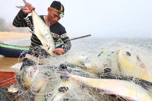Ngư dân Quảng Bình trúng đậm 'lộc biển' đầu xuân