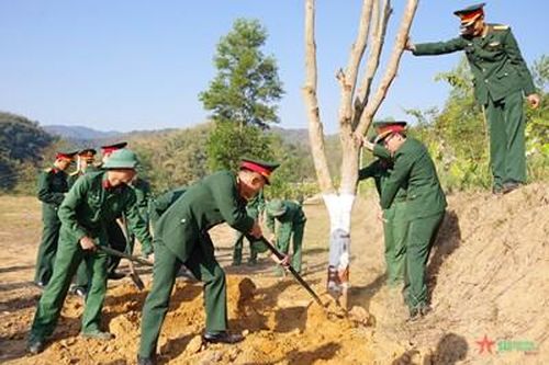 Bộ Chỉ huy Quân sự tỉnh Điện Biên trồng hơn 1.500 cây xanh