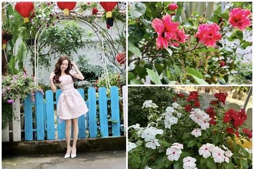 Ngắm khu vườn lộc lá sum suê trong biệt thự của Vy Oanh