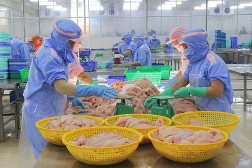 Bình Dương: Hơn 94% doanh nghiệp hoạt động, sản xuất ổn định như trước Tết 2024