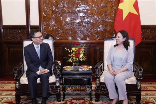 Phó Chủ tịch nước Võ Thị Ánh Xuân tiếp Đại sứ Hàn Quốc tại Việt Nam