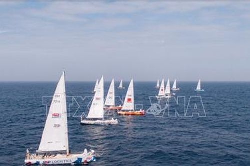 Đội Việt Nam tham gia Giải đua thuyền buồm Clipper Race đã về đích thứ 5