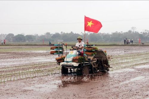 Trình diễn ứng dụng cơ giới hóa trong sản xuất nông nghiệp
