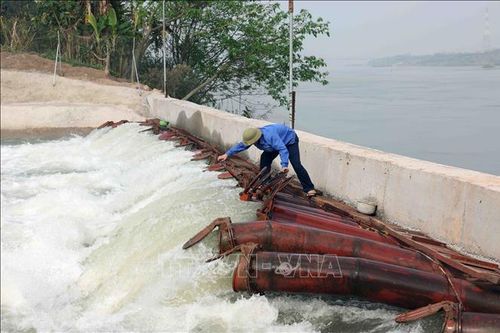 Tận dụng tối đa để lấy nước cho tưới dưỡng vụ Đông Xuân
