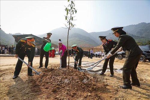 Lực lượng vũ trang Quân khu 3 phấn đấu trồng 198 nghìn cây xanh và 30 ha rừng năm 2024