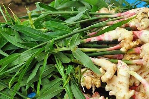 Các nhà nghiên cứu chỉ ra mối liên hệ bất ngờ giữa gừng và bệnh ung thư