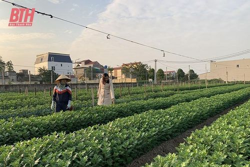 Xây dựng xã nông thôn mới nâng cao vùng triều ven sông Mã