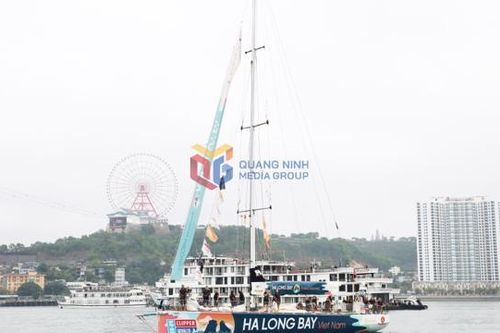 Đội Việt Nam tham gia Giải đua thuyền buồm Clipper Race đã về đích thứ 5