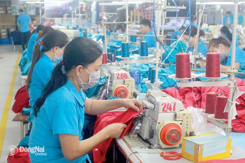 Thi đua sản xuất ngay từ đầu năm