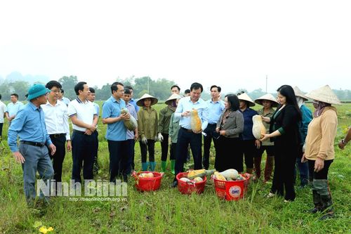 Lãnh đạo huyện Nho Quan thăm, động viên sản xuất đầu Xuân Giáp Thìn 2024