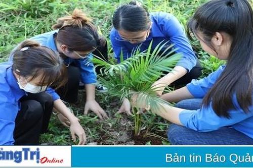 Tết trồng cây và tăng cường công tác quản lý, bảo vệ, phát triển rừng