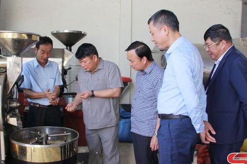 Đồng chí Phó Bí thư Thường trực Tỉnh ủy thăm một số HTX nông nghiệp