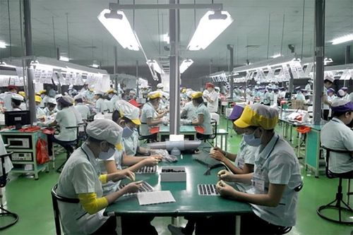 TP. Hồ Chí Minh: 97% lao động trở lại làm việc sau tết