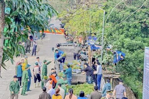 Hà Giang: Trồng cây đầu xuân Giáp Thìn góp phần phủ xanh biên cương