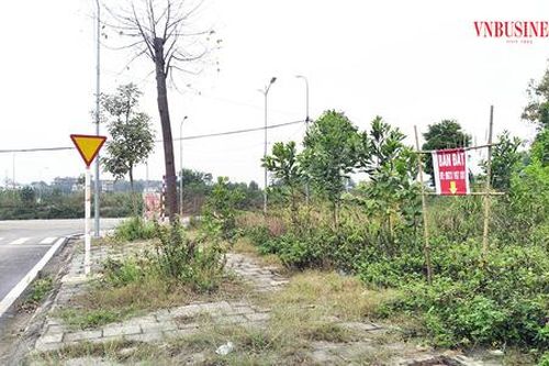 Đất nền lô to ngày càng khó bán, có nên giảm giá mạnh để 'thoát hàng' sớm?