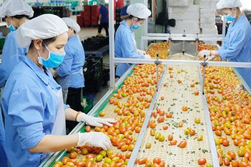 Xuất khẩu nông sản khởi sắc đầu năm