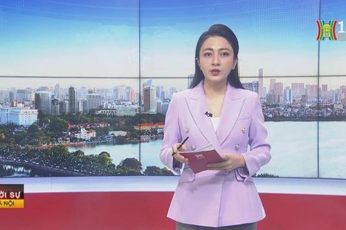 Chương trình Thời sự 9h00 | 19/02/2024