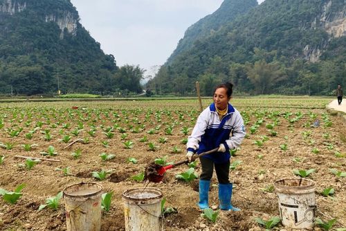 Hà Quảng phấn đấu năm 2024 bình quân đạt 11 tiêu chí nông thôn mới/xã