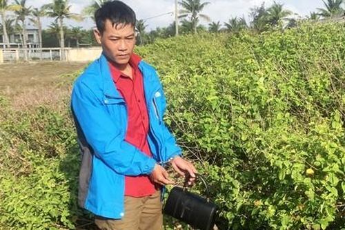 Bắt nhanh kẻ cướp giật 140 triệu đồng của người đi gửi tiền ngân hàng