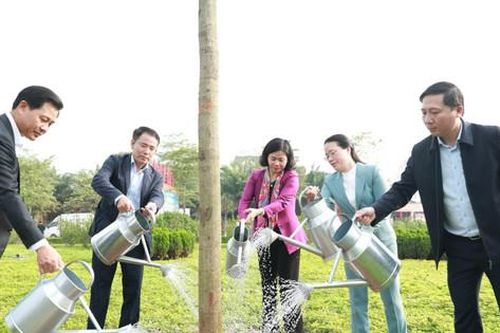 Huyện Mê Linh phấn đấu trồng mới 26.000 cây xanh