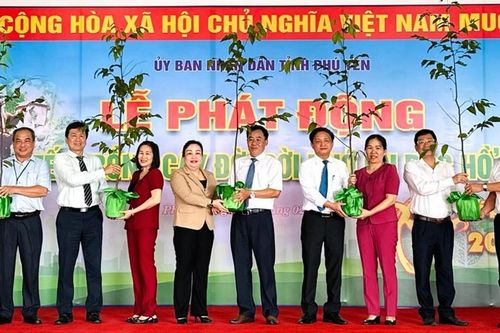Phú Yên: Phát động 'Tết trồng cây đời đời nhớ ơn Bác Hồ'
