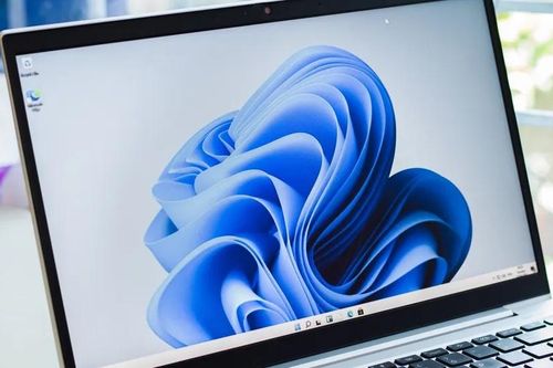 Máy tính đời cũ không thể cập nhật Windows 11