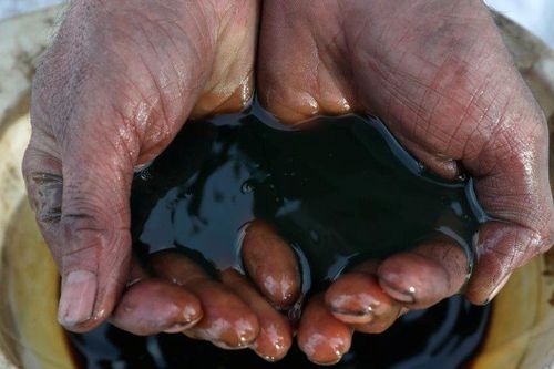 Nigeria khơi dậy tiềm năng xuất khẩu dầu mỏ