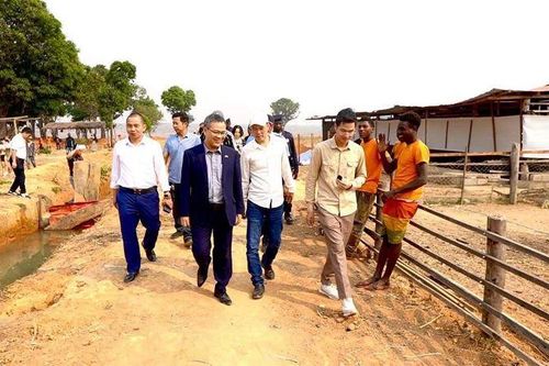 Angola đánh giá cao những đóng góp của cộng đồng người Việt