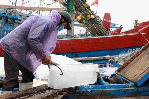 Quảng Ngãi: Đầu năm, tàu cá lo thiếu lao động biển