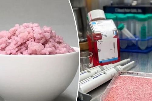 Xuất hiện loại gạo mới chứa... thịt bò