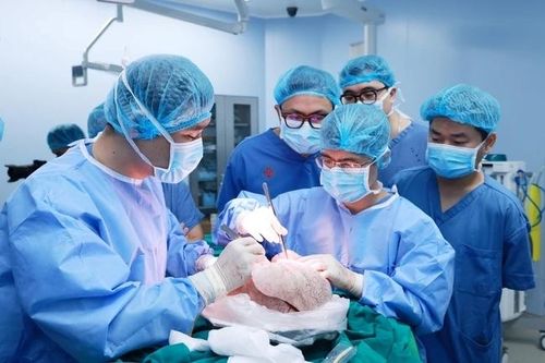 Ca ghép phổi chiều 30 Tết và sự phát triển về ghép tạng của y học Việt Nam