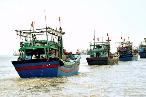 Ngư dân Nghệ An tìm hướng chuyển nghề