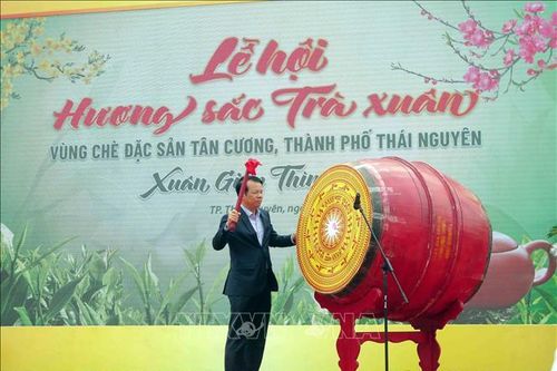 Tôn vinh cây chè qua Lễ hội 'Hương sắc Trà Xuân'