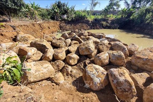 Gia Lai: 'Đá tặc' lộng hành, chính quyền né tránh?