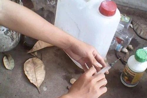Cử tri phản ánh về thuốc nhúng trái cây chín đồng loạt, Bộ NN&PTNT nói gì?