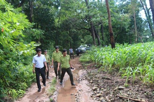 Dự án hồ chứa nước Ka Pét: Đẩy nhanh tiến độ hoàn chỉnh hồ sơ ĐTM