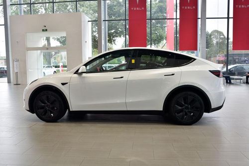 Tesla Model Y áp đảo các mẫu xe nội địa tại Trung Quốc