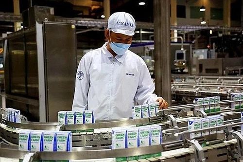HCM City lures green investments to boost sustainable development