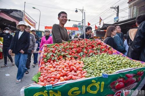 Tăng cường bảo đảm an toàn thực phẩm tại các lễ hội