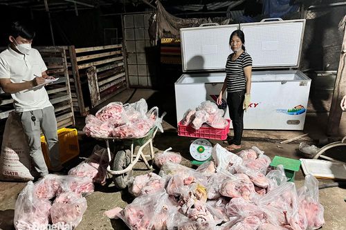 Kiểm soát chặt, xử lý nghiêm vi phạm về môi trường - an toàn thực phẩm